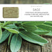 Sage Soap Bar - 25g, 150g, 250g