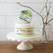 10% Shea Butter Body Butter - Unscented