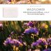 Wildflower Soap Bar - 25g, 150g, 250g