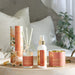 Autunno Home Fragrance Set Of 3 - Pumpkin Spice