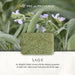 Sage Soap Bar - 25g, 150g, 250g
