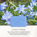 Starflower Soap Bar - 150g, 250g