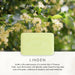 Linden Soap Bar - 25g, 150g, 250g
