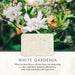 White Gardenia Soap Bar - 25g, 150g, 250g