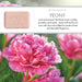 Peony Soap Bar - 25g, 150g, 250g