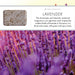 Lavender Soap Bar - 25g, 150g, 250g