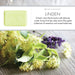 Linden Soap Bar - 25g, 150g, 250g