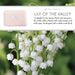 Lily Of The Valley Soap Bar - 25g, 150g, 250g